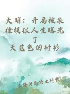 大明：開局被朱棣模擬人生曝光了